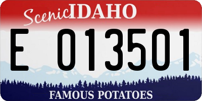 ID license plate E013501