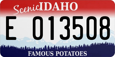 ID license plate E013508