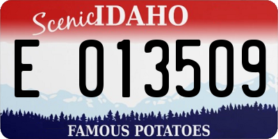 ID license plate E013509