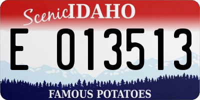 ID license plate E013513