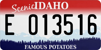 ID license plate E013516