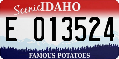 ID license plate E013524