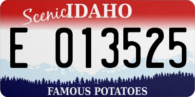 ID license plate E013525