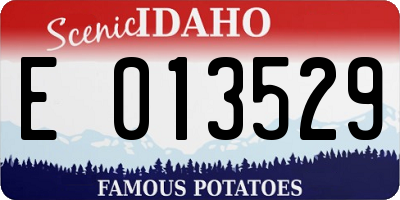 ID license plate E013529