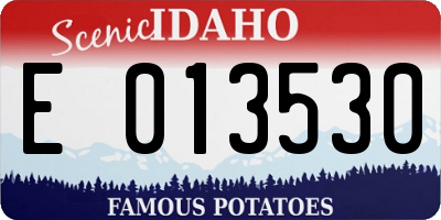 ID license plate E013530
