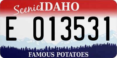 ID license plate E013531