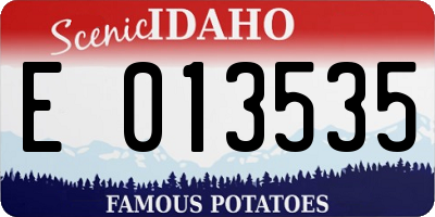 ID license plate E013535