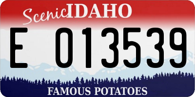 ID license plate E013539