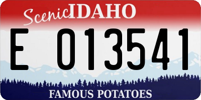 ID license plate E013541