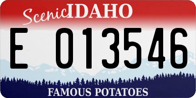 ID license plate E013546