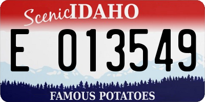 ID license plate E013549