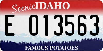 ID license plate E013563
