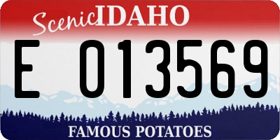 ID license plate E013569