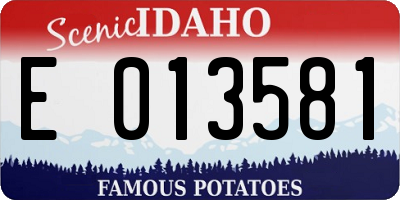 ID license plate E013581