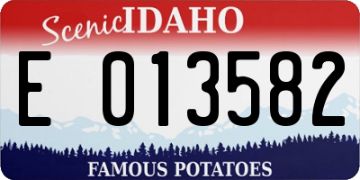 ID license plate E013582