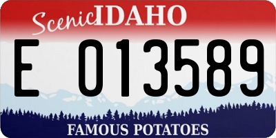 ID license plate E013589