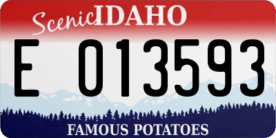 ID license plate E013593