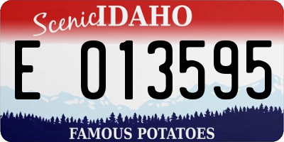 ID license plate E013595