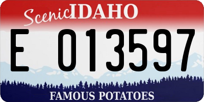 ID license plate E013597