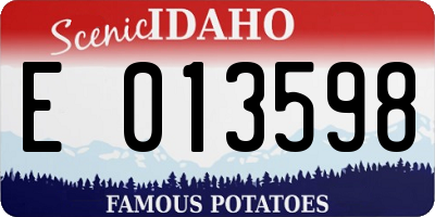 ID license plate E013598