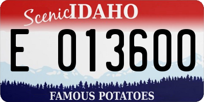 ID license plate E013600