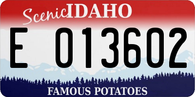 ID license plate E013602