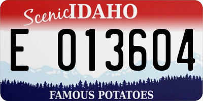 ID license plate E013604