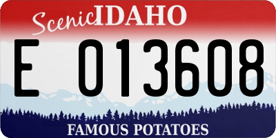 ID license plate E013608