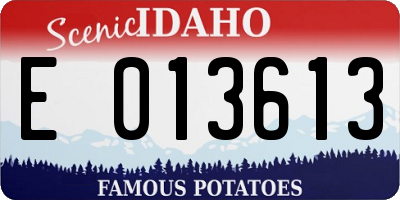 ID license plate E013613