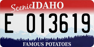 ID license plate E013619