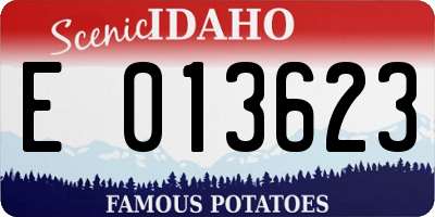 ID license plate E013623