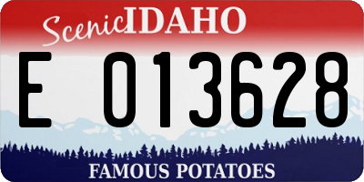 ID license plate E013628