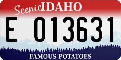 ID license plate E013631