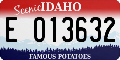 ID license plate E013632