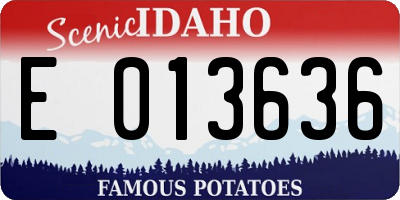 ID license plate E013636