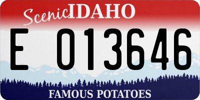 ID license plate E013646