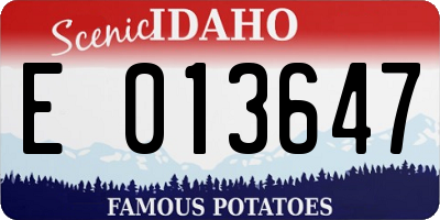 ID license plate E013647