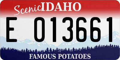 ID license plate E013661