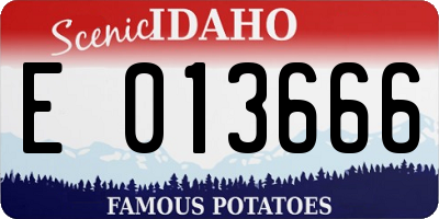 ID license plate E013666