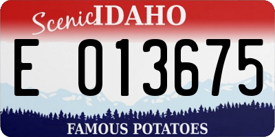 ID license plate E013675