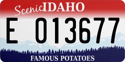 ID license plate E013677