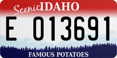 ID license plate E013691