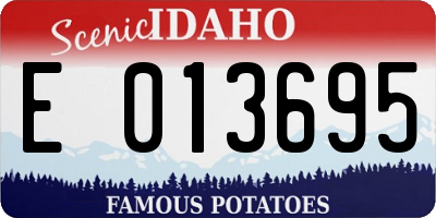 ID license plate E013695