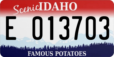 ID license plate E013703