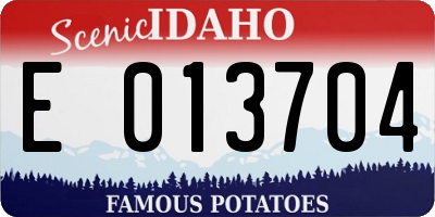 ID license plate E013704