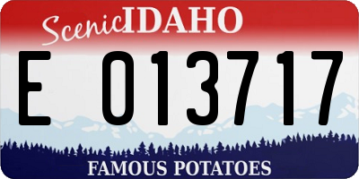 ID license plate E013717