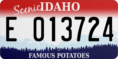 ID license plate E013724