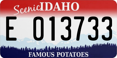 ID license plate E013733