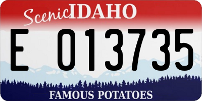 ID license plate E013735