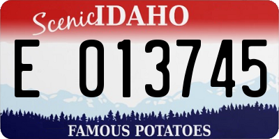 ID license plate E013745